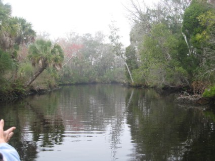 Homosassa River